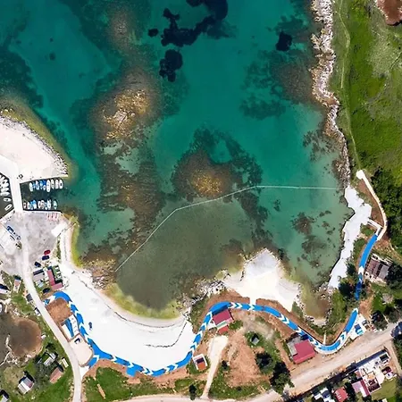 David Daire Ližnjan